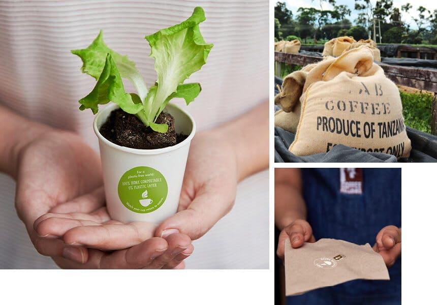 Sustainability at Coffee Fellows: Cups and napkins